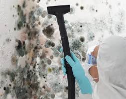 Best Commercial Mold Inspection  in Uniondale, NY